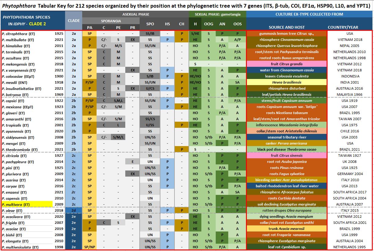    Phytophthora  spp. in subclade 2c:  Morphological Tabular key (PDF) and Tabular key legends (PDF) in IDphy2 KEY SECTION. Notice the data of   P. multivora  Ex-type CBS CBS 124094 = Samp;T BL 104 . Gloria Abad, USDA Samp;T.
